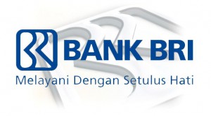 deposito-bri