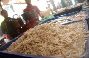 udang