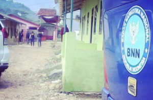 BNN