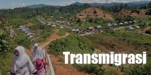 transmigrasi
