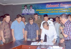 mustafa-mediasi-singkong5