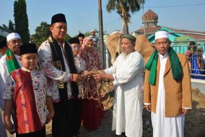 Hewan-Kurban-Lamteng