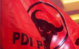 pdip