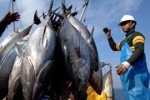 anelayan-perikanan-foto.satuharapan-670