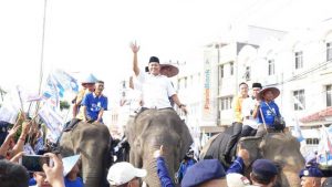 Mustafa-Gajah