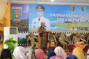 image_6483441-(22)