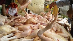 Mendekati_Ramadan_Harga_Ayam_Potong_dan_Telur_Ayam_Naik