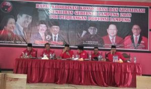 PDIP