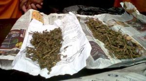Ilustasi paket-ganja