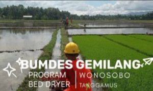 WhatsApp Image 2026-03-30 at 10.49.00